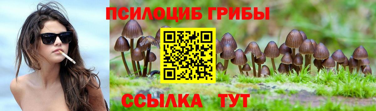 Псилоцибиновые грибы ЛСД Хабаровск